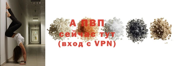 2c-b Новозыбков