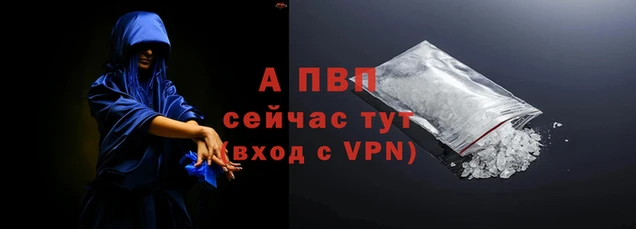 2c-b Новозыбков