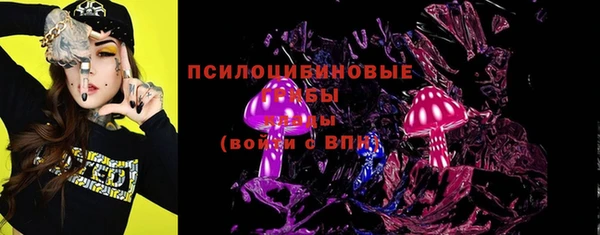 соль ск Новодвинск